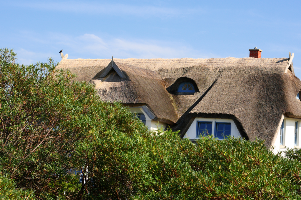 Thatched Roof Insurance