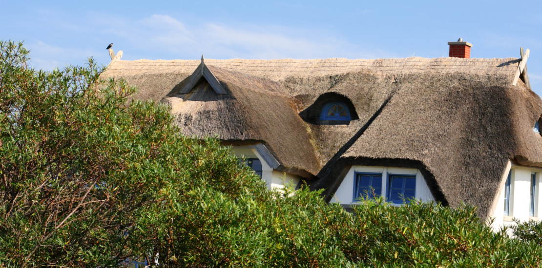 Thatched Roof Insurance